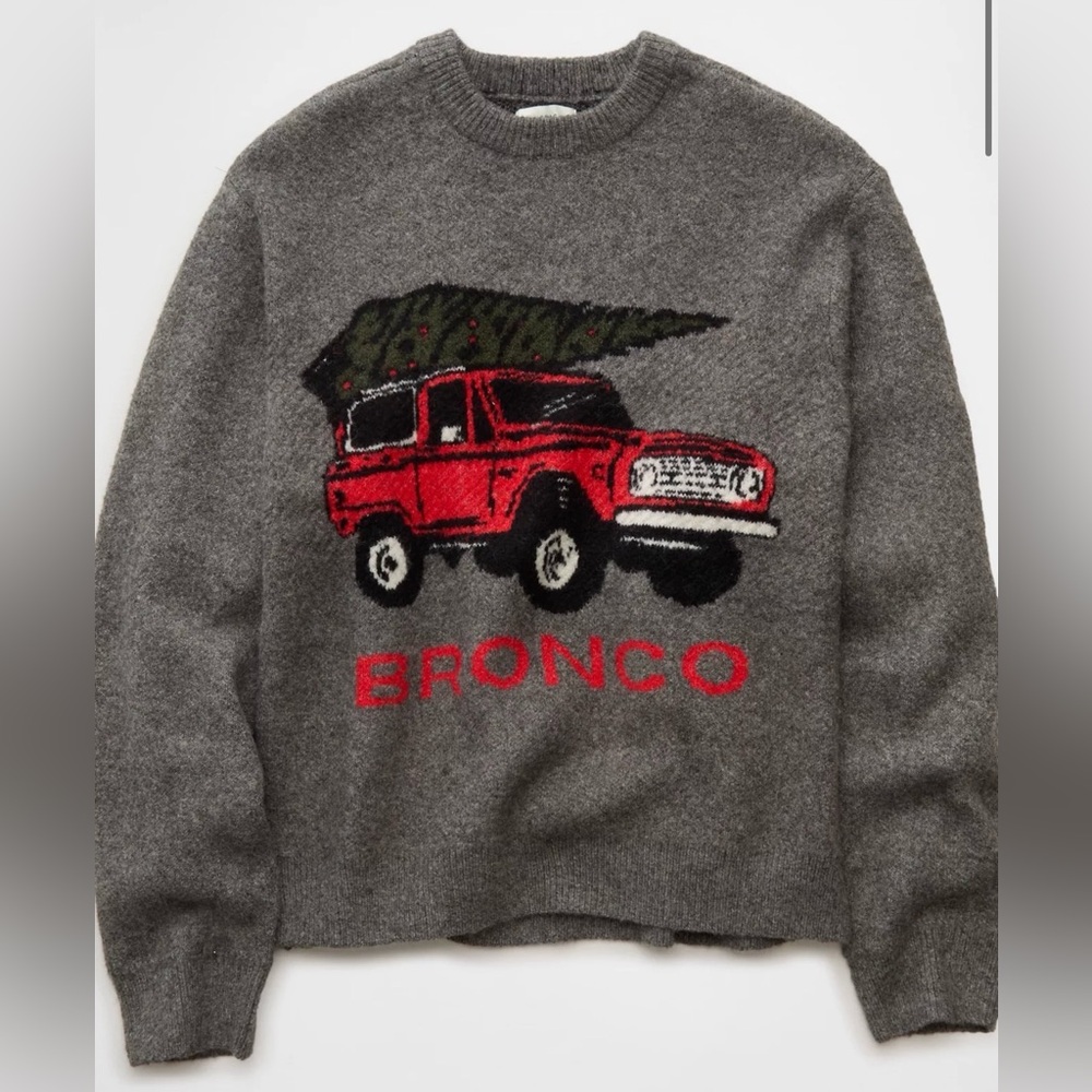 NEW AE American Eagle Oversized Sweater • Bronco and Evergreen Tree XL